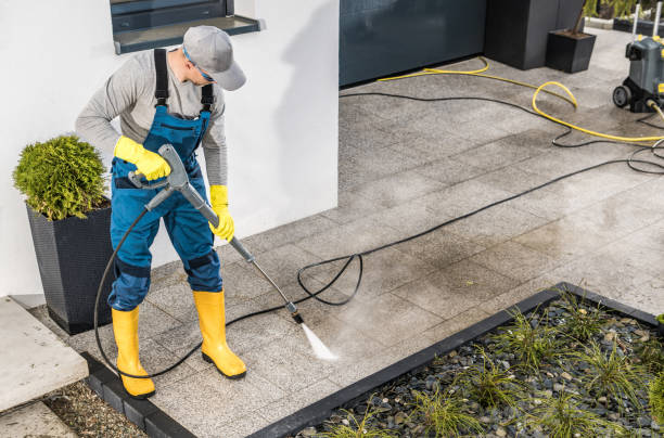 Best Deck Cleaning Services  in Vernon Hls, IL