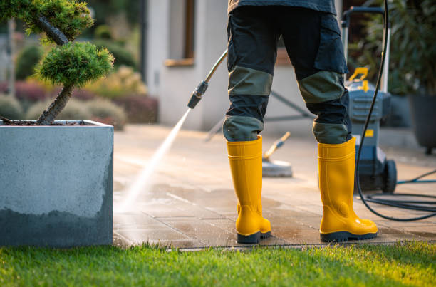 Best Exterior Home Cleaning  in Vernon Hls, IL